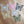 Fanions de guirlande papillon de lune